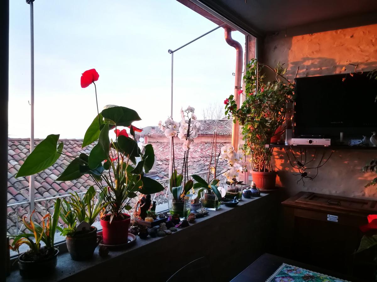 Casaforte Alba In Langa Bed & Breakfast